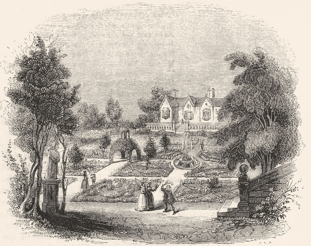 BOTANICAL. A Knotted Garden 1845 old antique vintage print picture